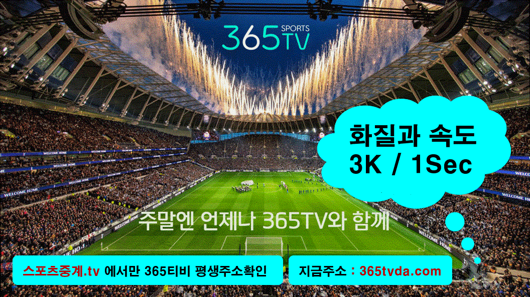 365티비 바로가기